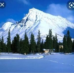 Meet your Posher, Vicky